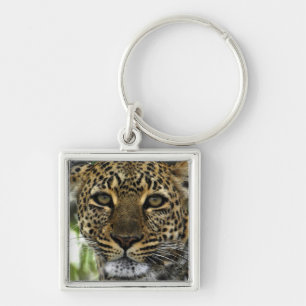 Leopard Schlüsselanhänger