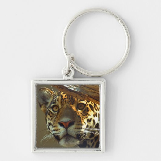 Leopard Schlüsselanhänger (Vorne)