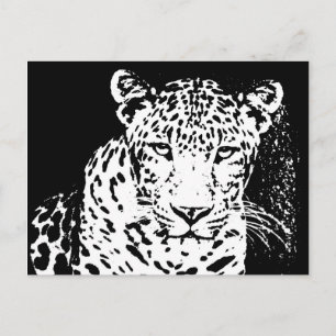 Leopard Schwarz-Weiß-Porträt-Postkarten Postkarte