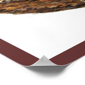 Leopard Scripture Matthew Give You Erholung Poster (Ecke)