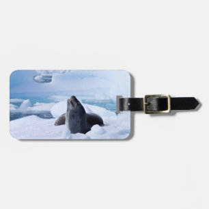 Leopard-Siegel Gepäckanhänger