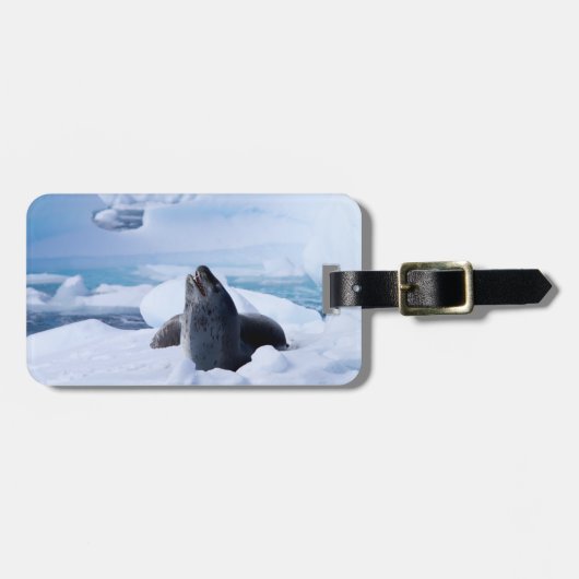 Leopard-Siegel Gepäckanhänger (Vorderseite horizontal)