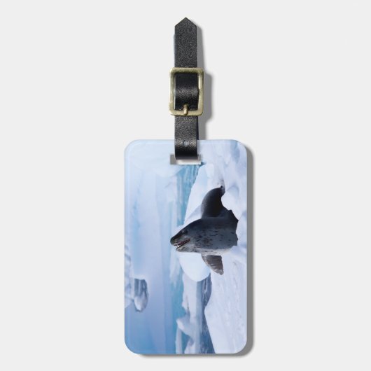 Leopard-Siegel Gepäckanhänger (Vorderseite vertikal)