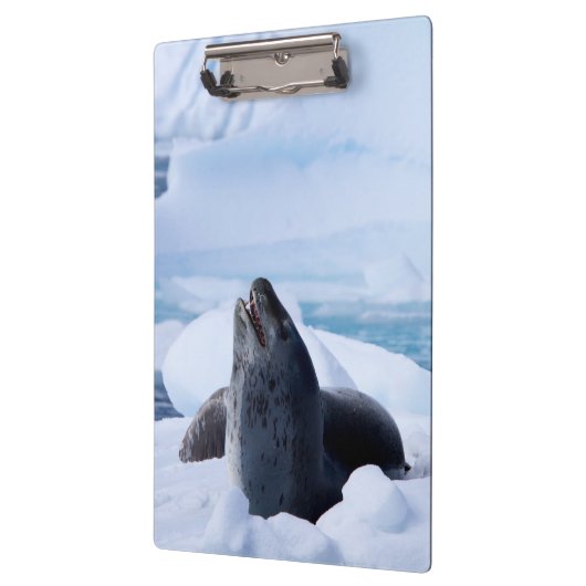 Leopard-Siegel Klemmbrett (Links)