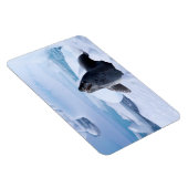 Leopard-Siegel Magnet (Rechte Seite)