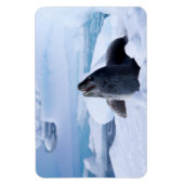 Leopard-Siegel Magnet (Vertikal)