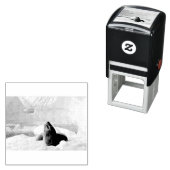 Leopard-Siegel Permastempel (Beispiel)