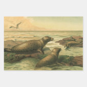 Leopard-Siegel, Vintage Wassertiere — Leben in der Geschenkpapier Set (Vorderseite)