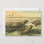 Leopard-Siegel, Vintage-Wassertiere Meeresleben (Vorderseite)
