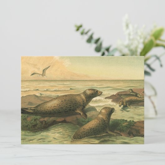 Leopard-Siegel, Vintage-Wassertiere Meeresleben (Stehend Vorderseite)