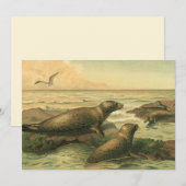 Leopard-Siegel, Vintage-Wassertiere Meeresleben (Vorne/Hinten)
