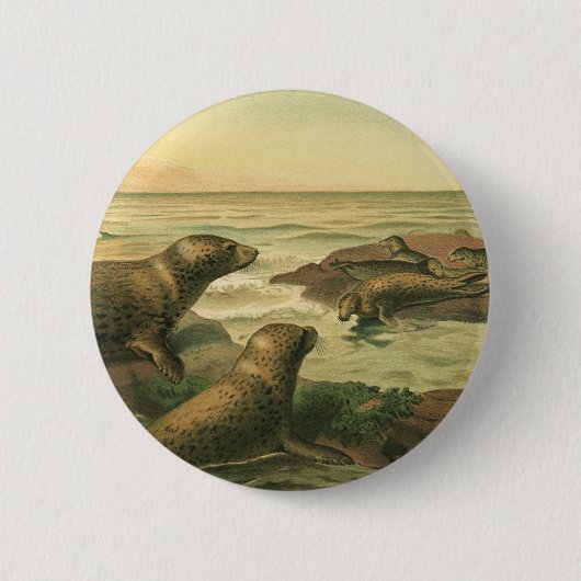 Leopard-Siegel, Vintage-Wassertiere Meeresleben Button (Vorderseite)