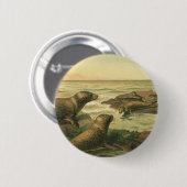 Leopard-Siegel, Vintage-Wassertiere Meeresleben Button (Vorne & Hinten)