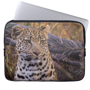 Leopard sitzend, Botswana, Afrika Laptopschutzhülle