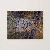 Leopard sitzend, Botswana, Afrika Puzzle (Horizontal)