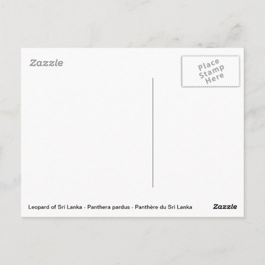 Leopard-Sitzung Postkarte (Rückseite)