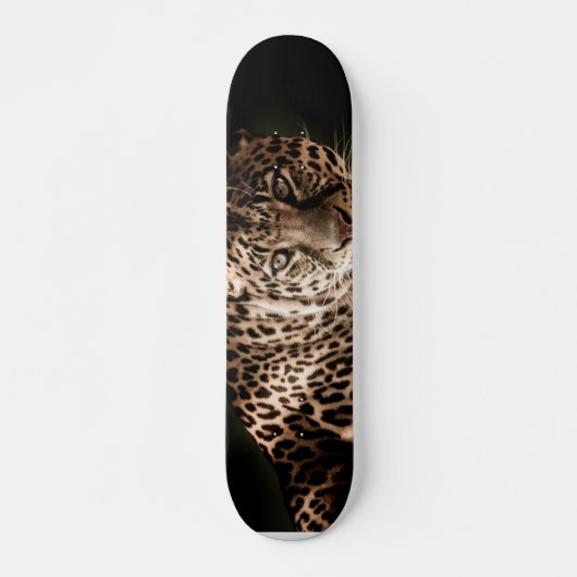Leopard Skateboard (Vorne)