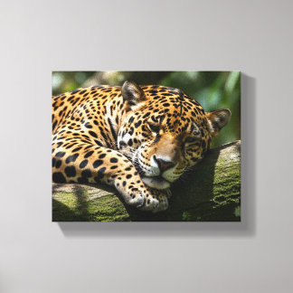 leopard sleeping canvas wall art leinwanddruck