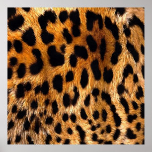 Leopard Spots Black Brown Wild Animal Fine Art Poster