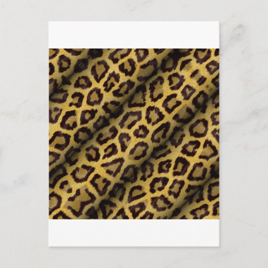 Leopard Spots Postkarte (Vorderseite)