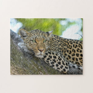 Leopard Spots Puzzle