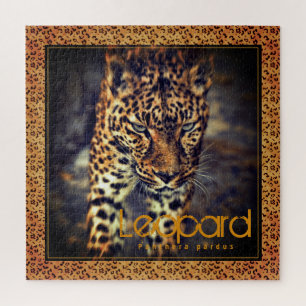 Leopard [Square Jigsaw puzzle] Puzzle