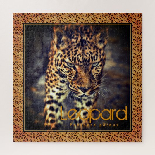 Leopard [Square Jigsaw puzzle] Puzzle (Vertikal)