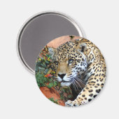 Leopard Stalking Macro Magnet (Vorderseite/Rückseite)