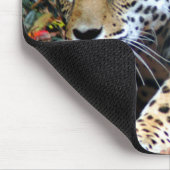 Leopard Stalking Macro Mousepad (Ecke)