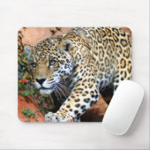 Leopard Stalking Macro Mousepad (Mit Mouse)