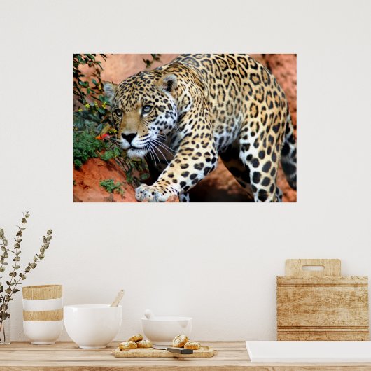 Leopard Stalking Macro Poster (Küche)