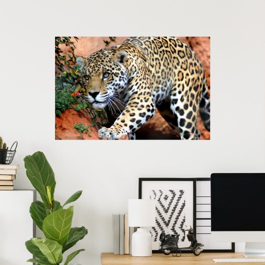 Leopard Stalking Macro Poster (Heimbüro)