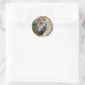 Leopard Stalking Macro Runder Aufkleber (Tasche)