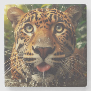 Leopard Stares beim Wasserlappen im Dschungel Steinuntersetzer