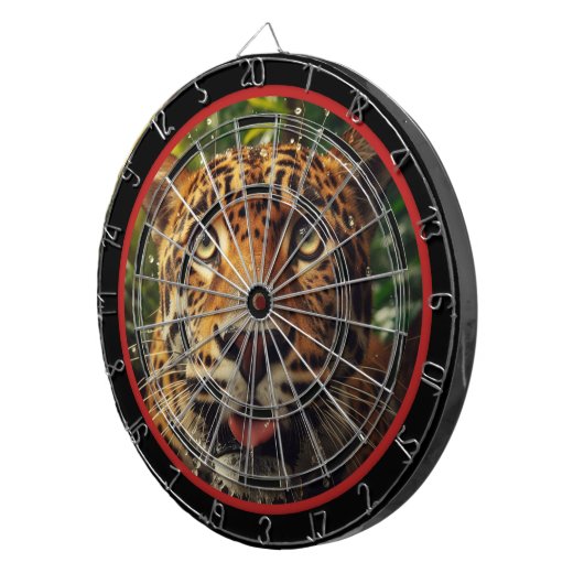 Leopard Stares während der Dschungelregulierung Dartscheibe (Vorderseite rechts)