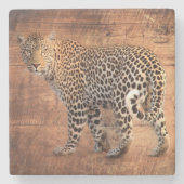 Leopard Steinuntersetzer (Vorderseite)