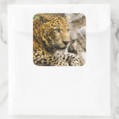 Leopard Stickers (Tasche)