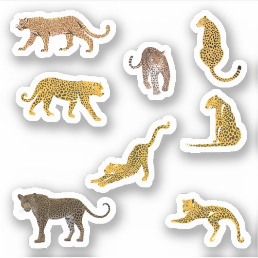 Leopard Stickers Aufkleber (Vorderseite)
