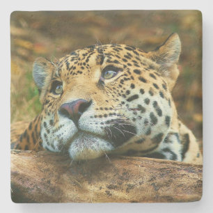 Leopard Stone Untersetzer
