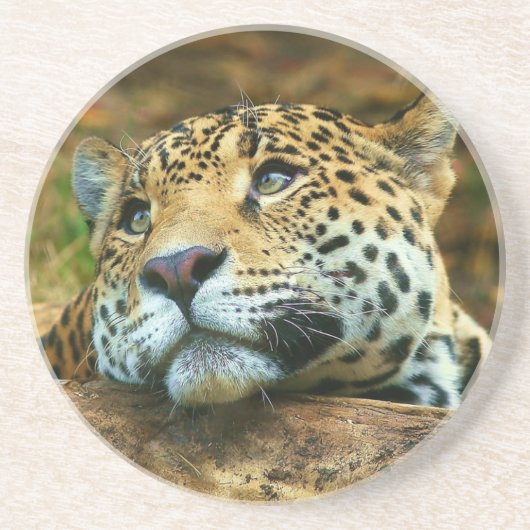 Leopard Stone Untersetzer (Vorne)