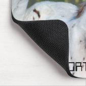 Leopard-Stutenfohlen Mousepad (Ecke)