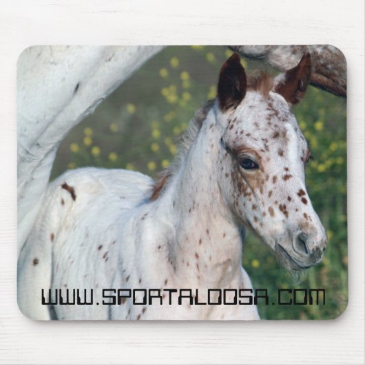 Leopard-Stutenfohlen Mousepad (Vorne)