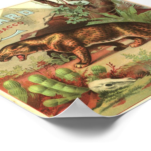 Leopard Tabak 1900 Poster (Ecke)