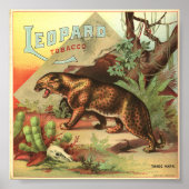 Leopard Tabak 1900 Poster (Vorne)