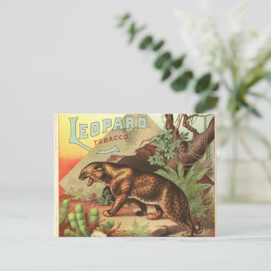 Leopard Tabak 1900 Postkarte (Stehend Vorderseite)