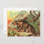 Leopard Tabak 1900 Postkarte (Vorne/Hinten)