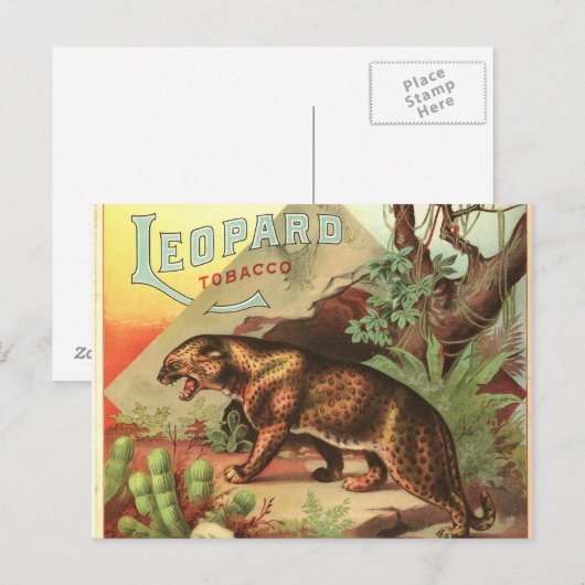 Leopard Tabak 1900 Postkarte (Vorne/Hinten)