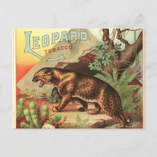 Leopard Tabak 1900 Postkarte (Vorderseite)
