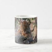 Leopard-Tasse Kaffeetasse (Mittel)