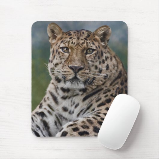 Leopard Thoughts Mousemat Mousepad (Mit Mouse)